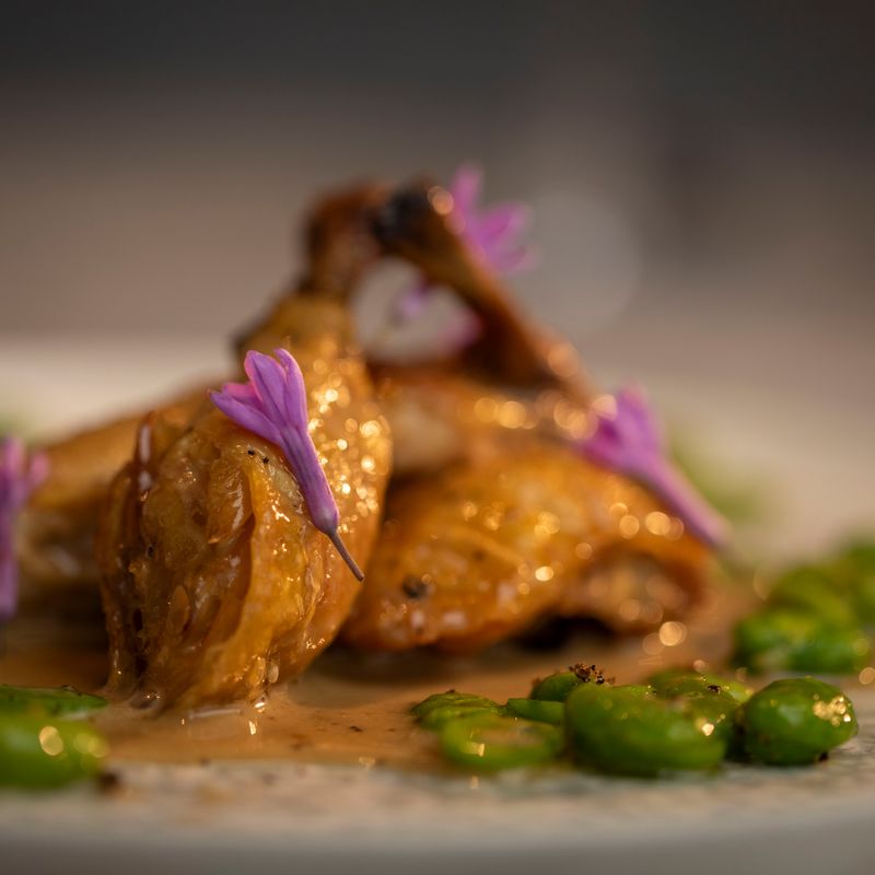 Poussin with Broad Beans and a Creamy Cepe Mushroom Sauce