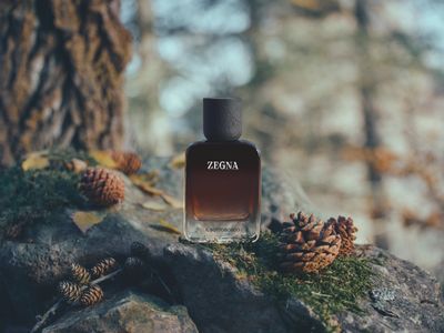 Vol. IV — IL SOTTOBOSCO