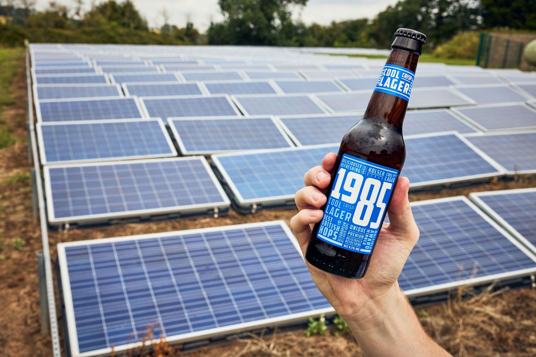 solar panels.jpeg