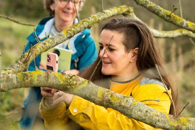 Trees for Cities course participant Tess Agnew learns how to identify different tree species.jpg