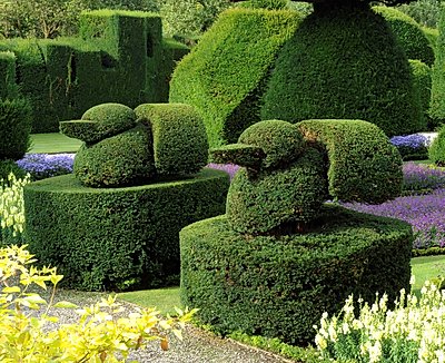 Topiary at Levens Hall, Cumbria, UK