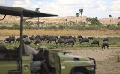 P_Asilia Lodges & Camps_Tanzania_Ruaha National Park 01_Jabali Ridge_Activities_Game Drive_6.jpg