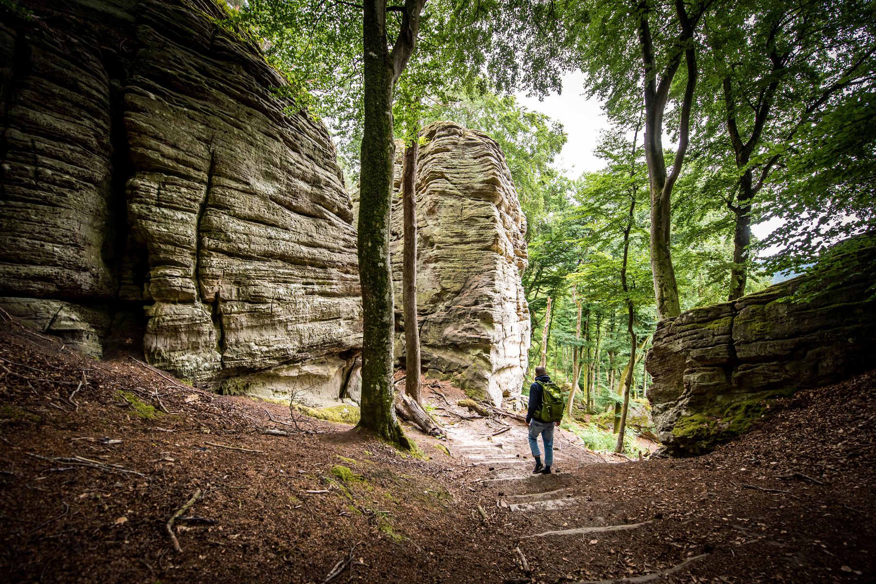 Mullerthal Trail