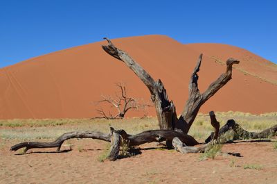 dreamstime_Deadvlei.jpg