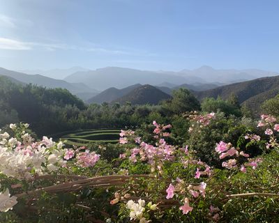 Morocco floral landscape UGC
