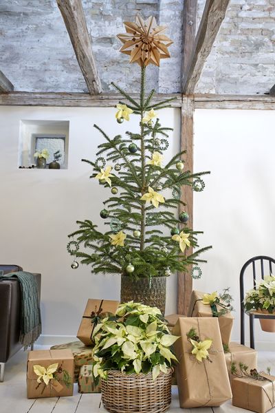 2022_poinsettia_02000_Urban_Loft_Christmas_12.jpg