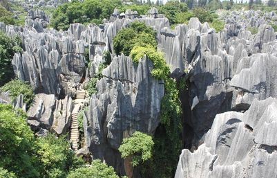 Stone Forest (7).jpg