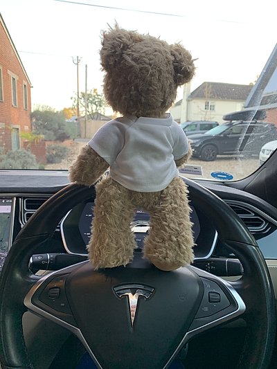 Ted at the wheel