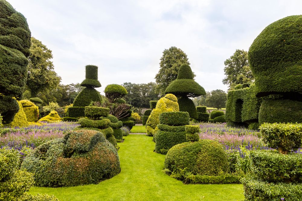 Editorial use only photo showing topiary garden at Levens Hall and Gardens, near Kendal, Cumbria