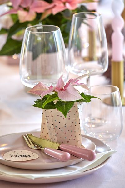 2022_poinsettia_04000_Christmas_Fairy_Tale_31.jpg