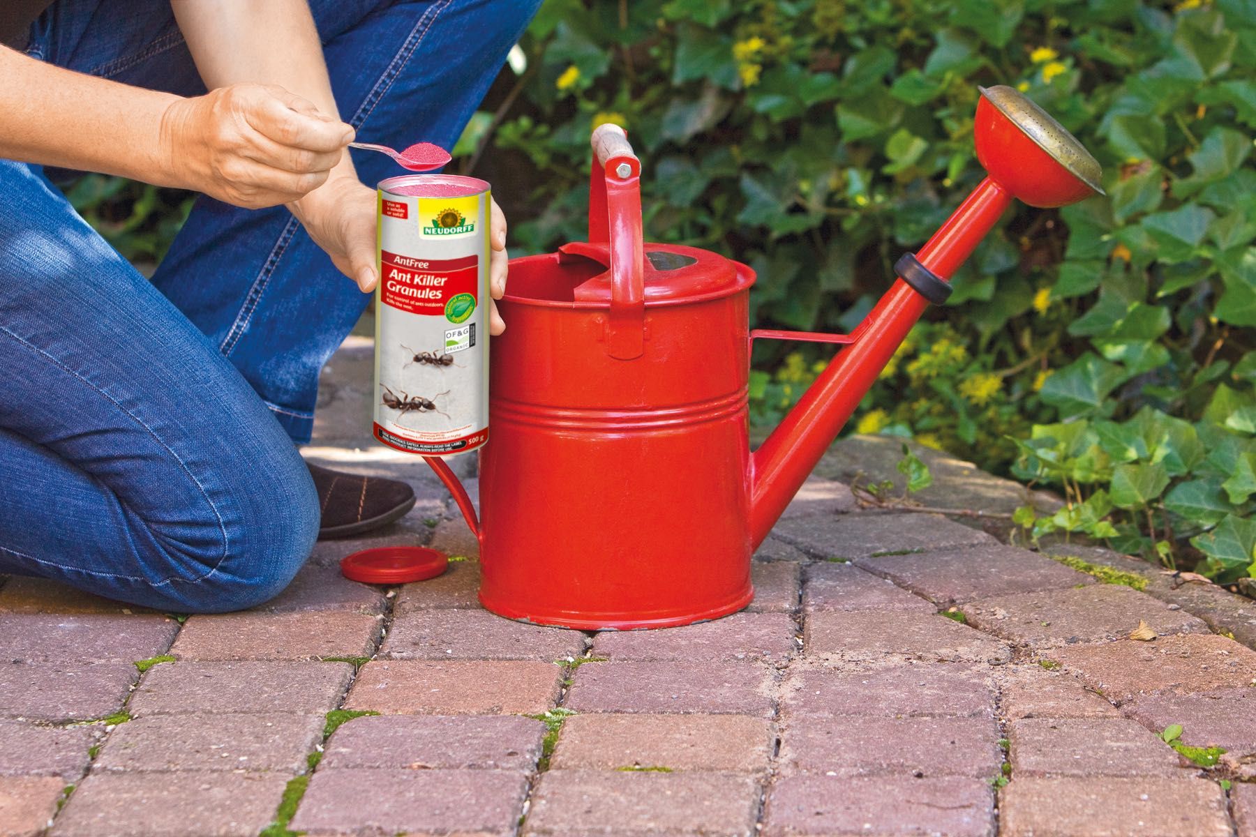 Neudorff AntFree Ant Killer Granules in use.jpg