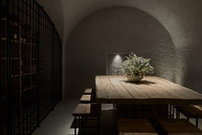 Weinkeller-Wine Cellar_©FORESTIS (3).jpg