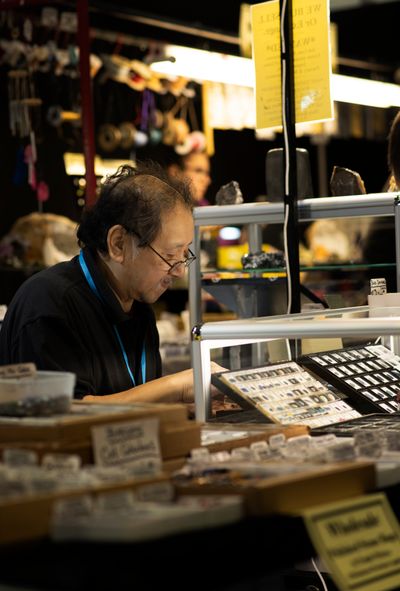 London Gem and Mineral Show 2024_571.JPG