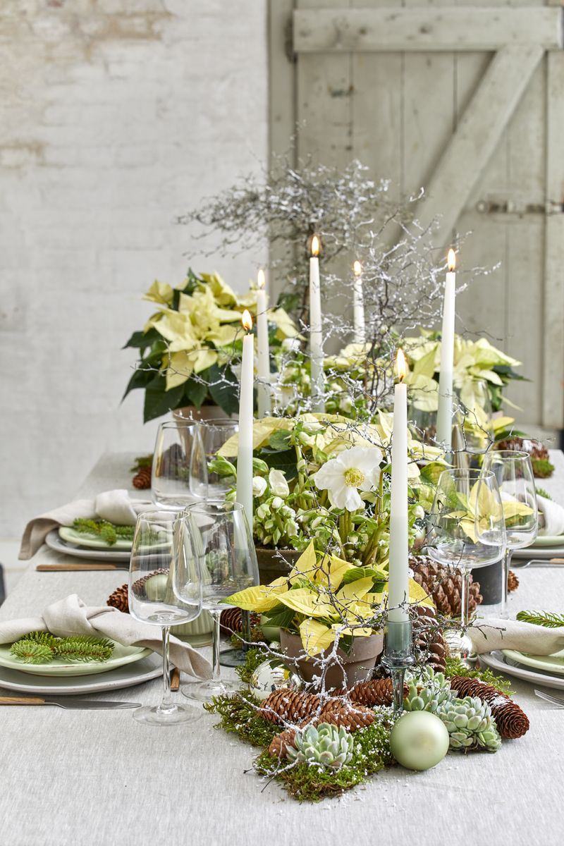 2022_poinsettia_02000_Urban_Loft_Christmas_11.jpg