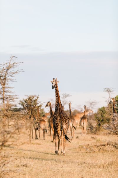 Kin Travel Kenya_Valorie Darling Photography_ID3A1392.jpg