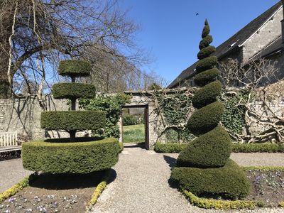 Topiary at Levens Hall, Cumbria, UK