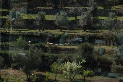 ITVall_0327.jpg