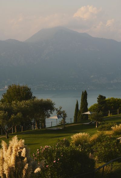 Garden_CapeOfSenses_september_2025_29_GianniBaumann.jpg