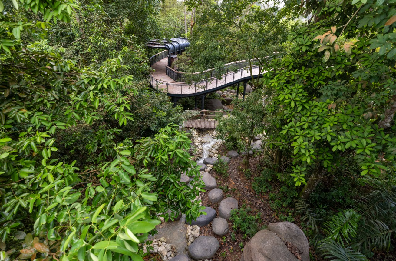 Rainforest Wild Asia - Treks and elevated walkways. Photo Credit_Mandai Wildlife Group.png