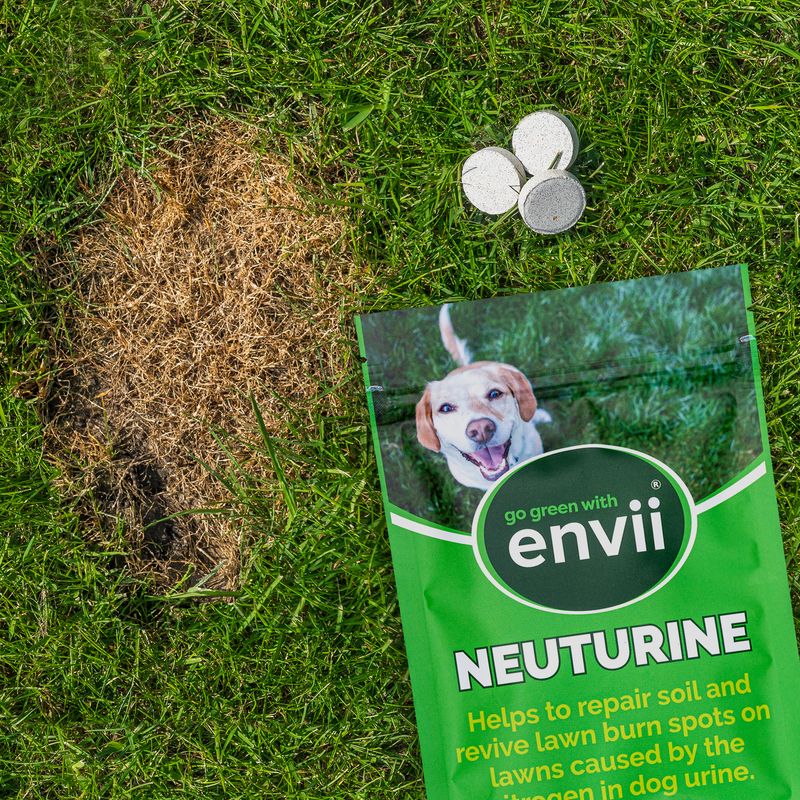 Envii Neutrine