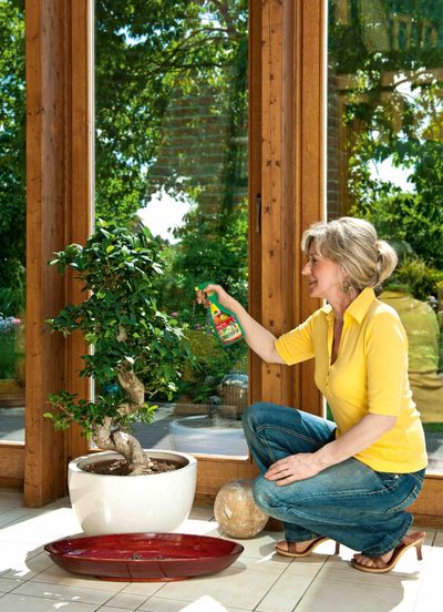 Neudorff BugFree Bug and Larvae Killer RTU 750ml.jpg