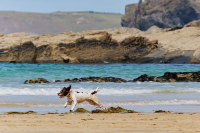 Constantine-Bay (2).jpg