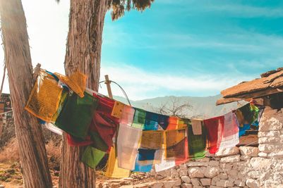 Foothills of Bhutan. Credit Prateek Katyal.jpg
