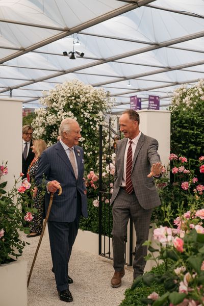 David Austin Roses receive 29th Gold for ‘The King’s Rose’ Showcase at RHS Chelsea Flower Show 2025
