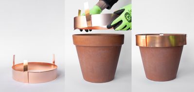 CopperPlantRingCombinedReducedSize.jpg