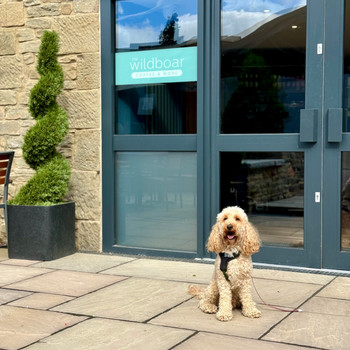 The new pet-friendly Wild Boar Coffee café at Whitemead Forest Park