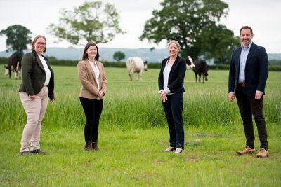 L-R Sarah Baugh, Megan Price, Anna Russell and Tom Devey..jpg