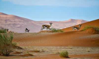 arne-smith - Namibia.jpg