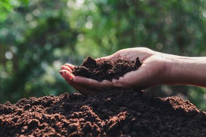 Handful of soil 