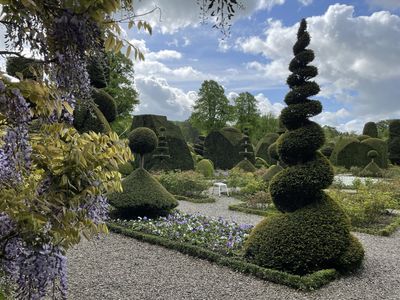 Part of the world's oldest topiary garden at Levens Hall and Gardens, Cumbria.