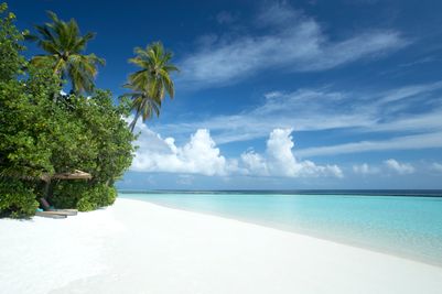 halaveli-maldives-2021-bs-beach-13_hd.jpg