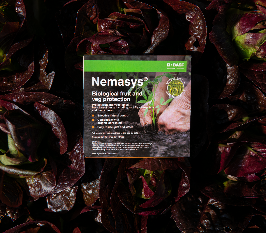 Nemasys Fruit and Veg Protection