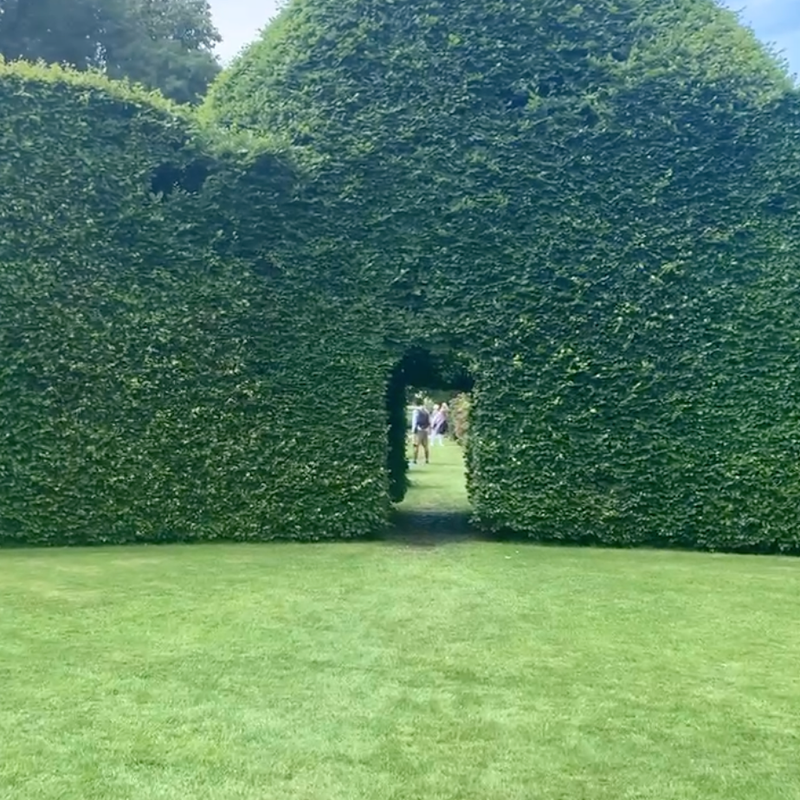 Looking through the huge Beech Hedge from the Beech Circle at Levens Hall and Gardens, the South Lakes, Cumbria