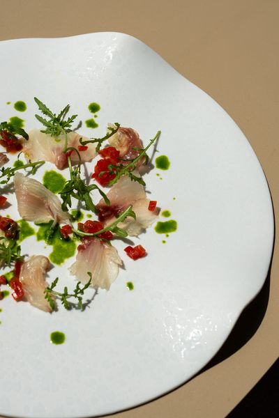 SV_Le Lanterne_Carpaccio Bluefish, green tomatoes and rocket.jpg