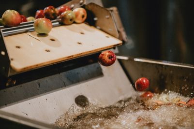 Born-Ramborn-Cider-tour-2019-L2-009-©-Véronique-Kolber.jpg