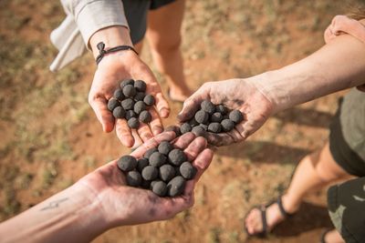 KIN Travel Kenya 2019--138- Seedballs.jpg