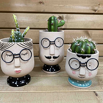 Woodlodge quirky family pot covers.jpg .jpg