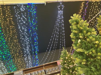 Hillier Garden Centres and Nurseries - Christmas 2024