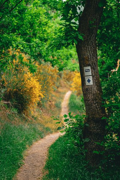 Lee-Trail-2025-LPB10-©Leptitbaroudeur.jpg