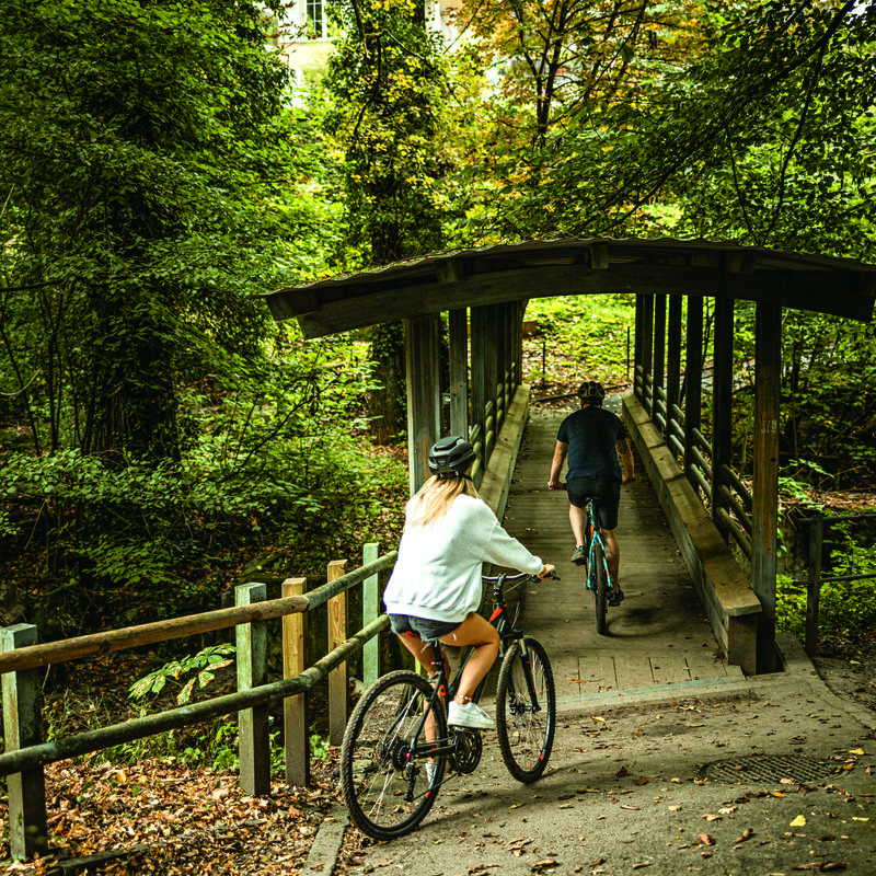 Cycling in Lausanne - nature