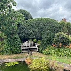 Angela Hawkins - Second Place in UK Home Gardener Category