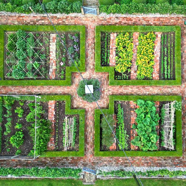 Paul Everden - First Place in UK Home Gardener Category