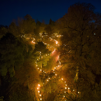 Glow Wild at Wakehurst