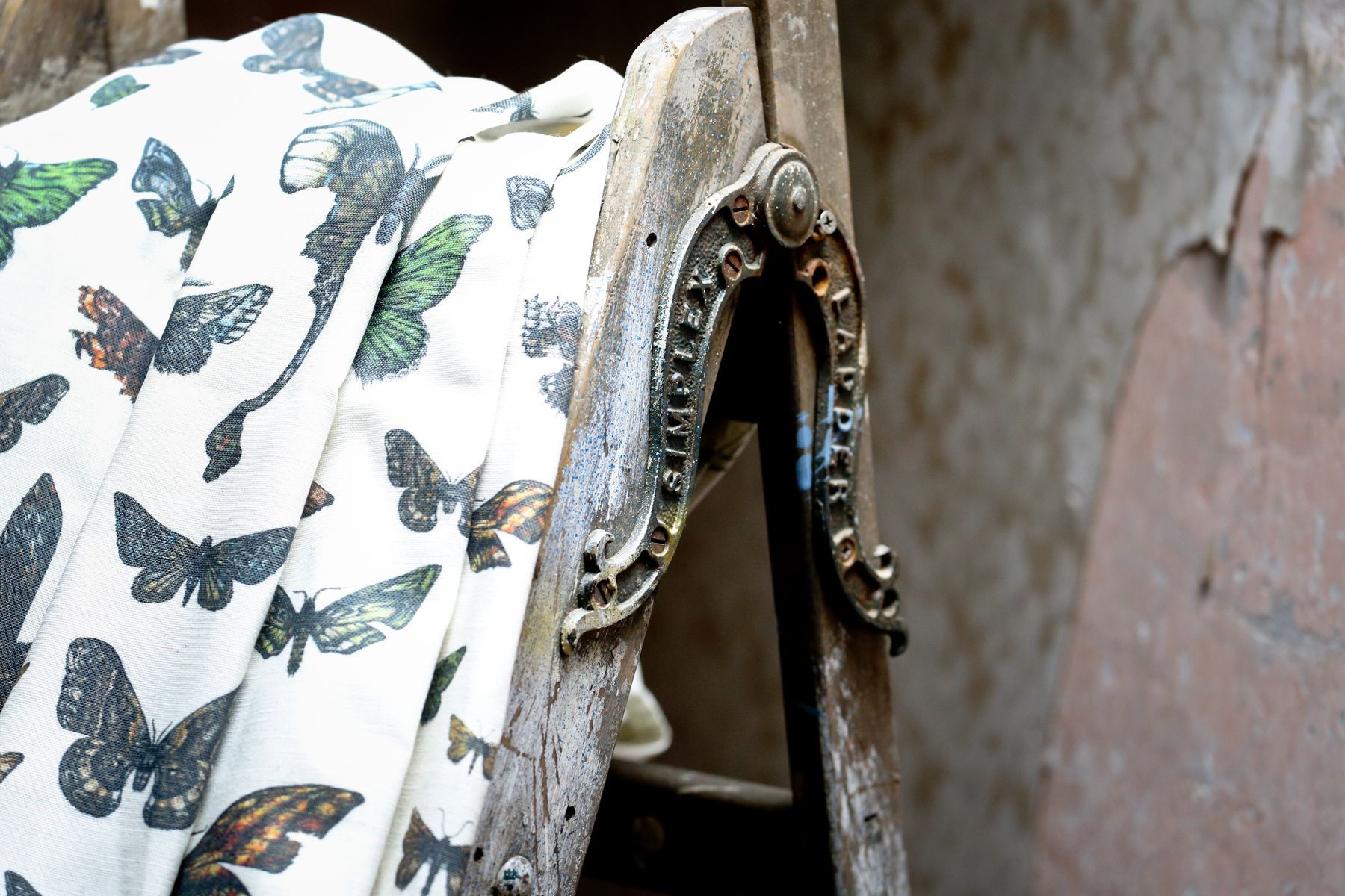 Tradescant & Son Entomology Moth Drawer 1.JPG