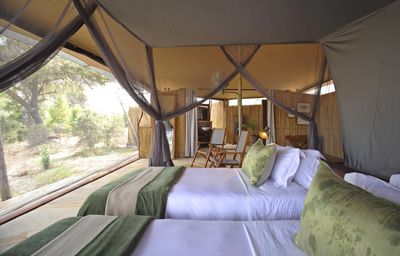 P_Asilia Lodges & Camps_Tanzania_Dar Es Salaam_Roho Ya Selous_Room Type_Guest Room.jpg