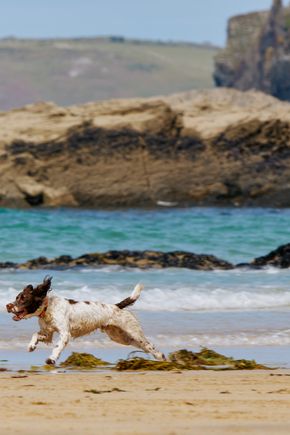 Constantine-Bay (2).jpg